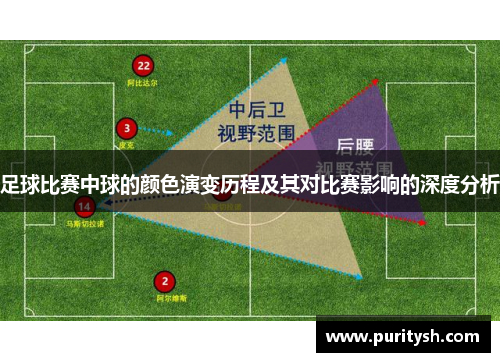 足球比赛中球的颜色演变历程及其对比赛影响的深度分析